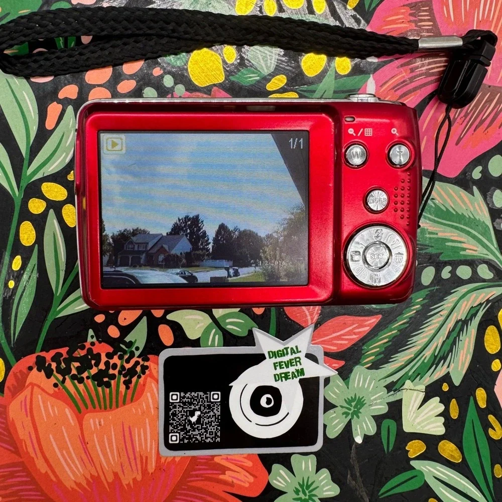 Polaroid iex29 digital